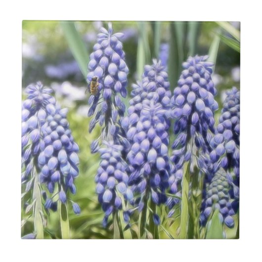 Biene auf Muscari-Blumen Fliese (Vorderseite)