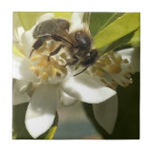 Biene auf Orange Blossom Fliese (Vorderseite)
