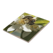 Biene auf Orange Blossom Fliese (Seite)
