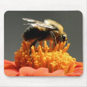 Biene auf orange Blume Mousepad