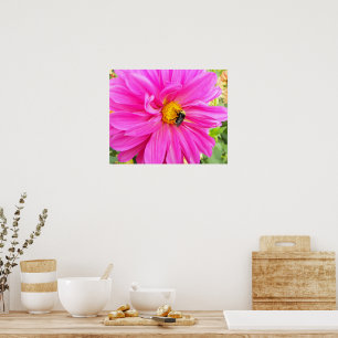 Biene auf rosa Dahlie Blumenfotografie Poster