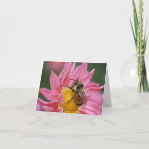 Biene auf rosa Gänseblümchen-Fotografienotiz Karte