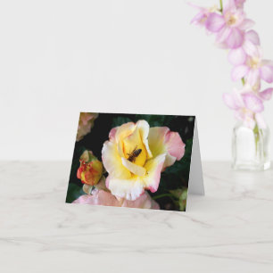 Biene auf rosa Gelben Rosen Blume Karte