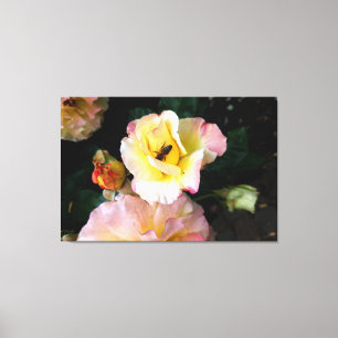 Biene auf rosa Gelben Rosen Blume Leinwanddruck