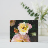 Biene auf rosa Gelben Rosen Blume Postkarte (Stehend Vorderseite)