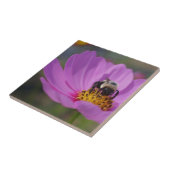 Biene auf rosa Kosmos Blume Natur Fliese (Seite)