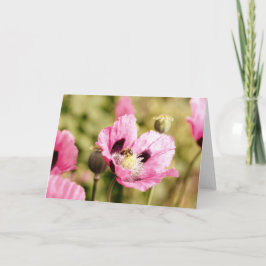 Biene auf rosa Mohnblüte Karte