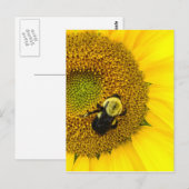 Biene auf Sonnenblume Postkarte (Vorne/Hinten)