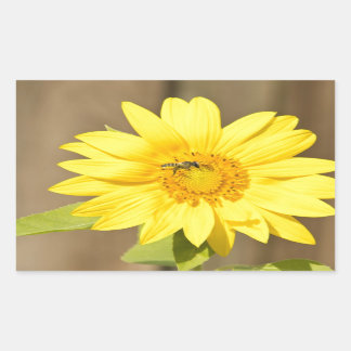 Biene auf Sonnenblume Rechteckiger Aufkleber