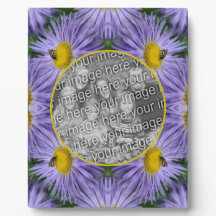 Biene auf violetten Blumen Natur hinzufügen Ihr Fo