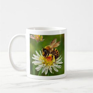 Biene auf Weiße Blume Kaffeetasse