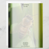 Biene auf weißem Blumen-Briefkopf Briefbogen (Vorne/Hinten)