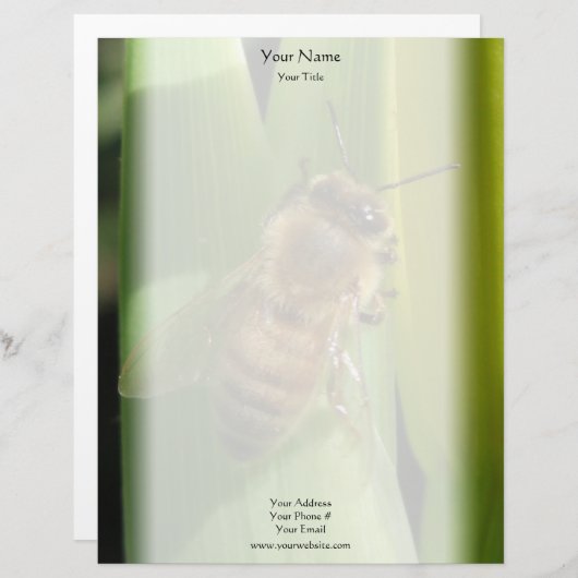 Biene auf weißem Blumen-Briefkopf Briefbogen (Vorne/Hinten)