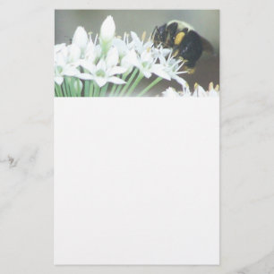 Biene auf weißen Blüten Briefpapier