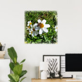 Biene auf weißer Blume Poster (Heimbüro)