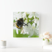 Biene auf weißer Blume Quadratische Wanduhr (Zuhause)