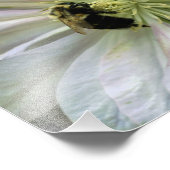 Biene auf White Clematis Blume 8x10 Natur Fotodruck (Ecke)