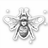 Biene Aufkleber (Vorderseite)