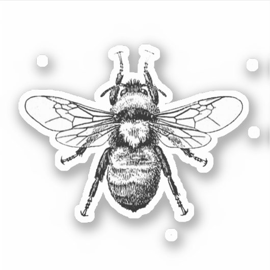 Biene Aufkleber (Vorderseite)