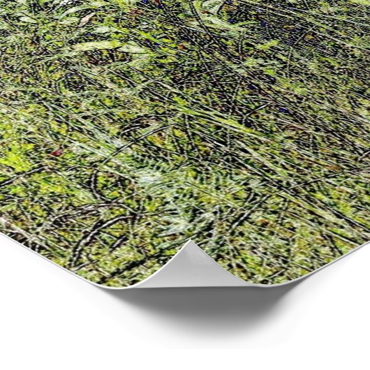 Biene Balm (Bergamont) im August Poster (Ecke)