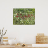 Biene Balm (Bergamont) im August Poster (Küche)