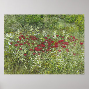 Biene Balm (Bergamont) im August Poster