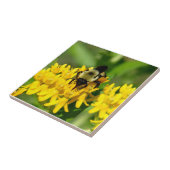 Biene beim Feiern auf Schwalbenwurz-Wildblumen Fliese (Seite)