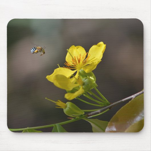 Biene, Blume Mousepad (Vorne)