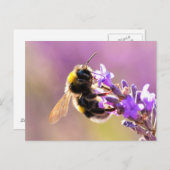 Biene Blume Schöne Landschaft Postkarte (Vorne/Hinten)
