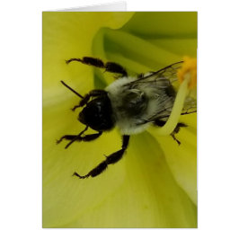 BIENE FANTASTISCH - CHRISTLICHER GRUSS