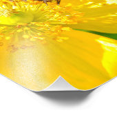 Biene Fotodruck (Ecke)