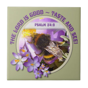 Biene Füttre auf Spring Crocus Blume Fliese