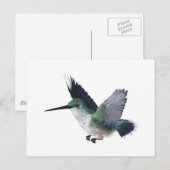 Biene Hummingbird Female Postkarte (Vorne/Hinten)
