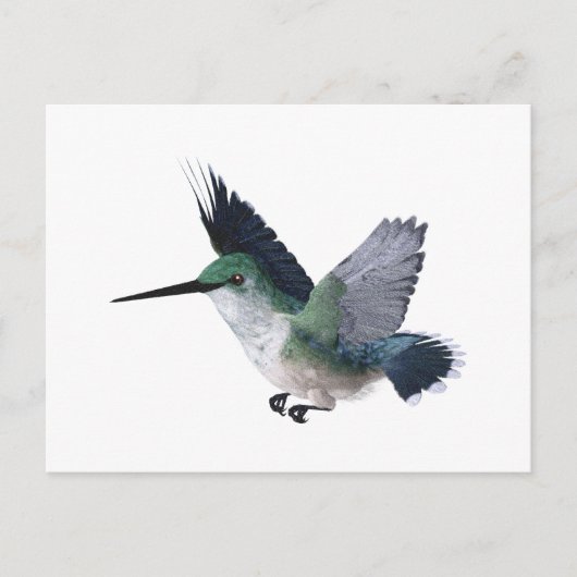 Biene Hummingbird Female Postkarte (Vorderseite)
