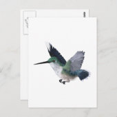 Biene Hummingbird Female Postkarte (Vorne/Hinten)