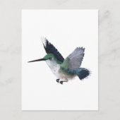 Biene Hummingbird Female Postkarte (Vorderseite)
