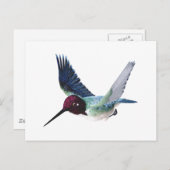 Biene Hummingbird Male Postkarte (Vorne/Hinten)