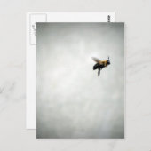 Biene im Flug Postkarte (Vorne/Hinten)