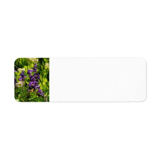 Biene im Garten (Vorne)