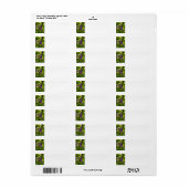 Biene im Garten (Vorne)