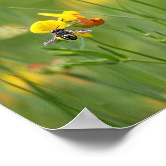 Biene im Moment Poster (Ecke)