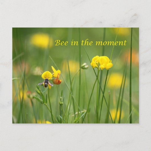Biene im Moment Postkarte (Vorderseite)