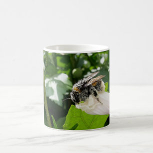 Biene im Sommer Kaffeetasse