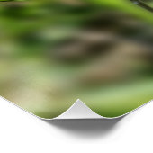 Biene in Blase Poster (Ecke)