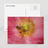 Biene in der Mohnblume Postkarte (Vorne/Hinten)