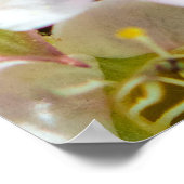 Biene in der Nachbarschaft 28x24 Archival Print Poster (Ecke)