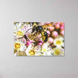 Biene in der Nachbarschaft Canvas Print 36 x 24 Leinwanddruck