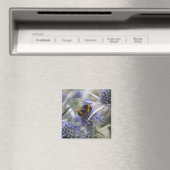 Biene in Distel Magnet (In Situ (Geschirrspüler))