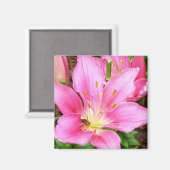 Biene in einer Lilly Magnet (Vorderseite/Rückseite)