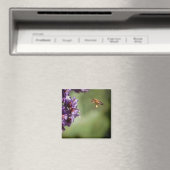 Biene in Flight Magnet (In Situ (Geschirrspüler))